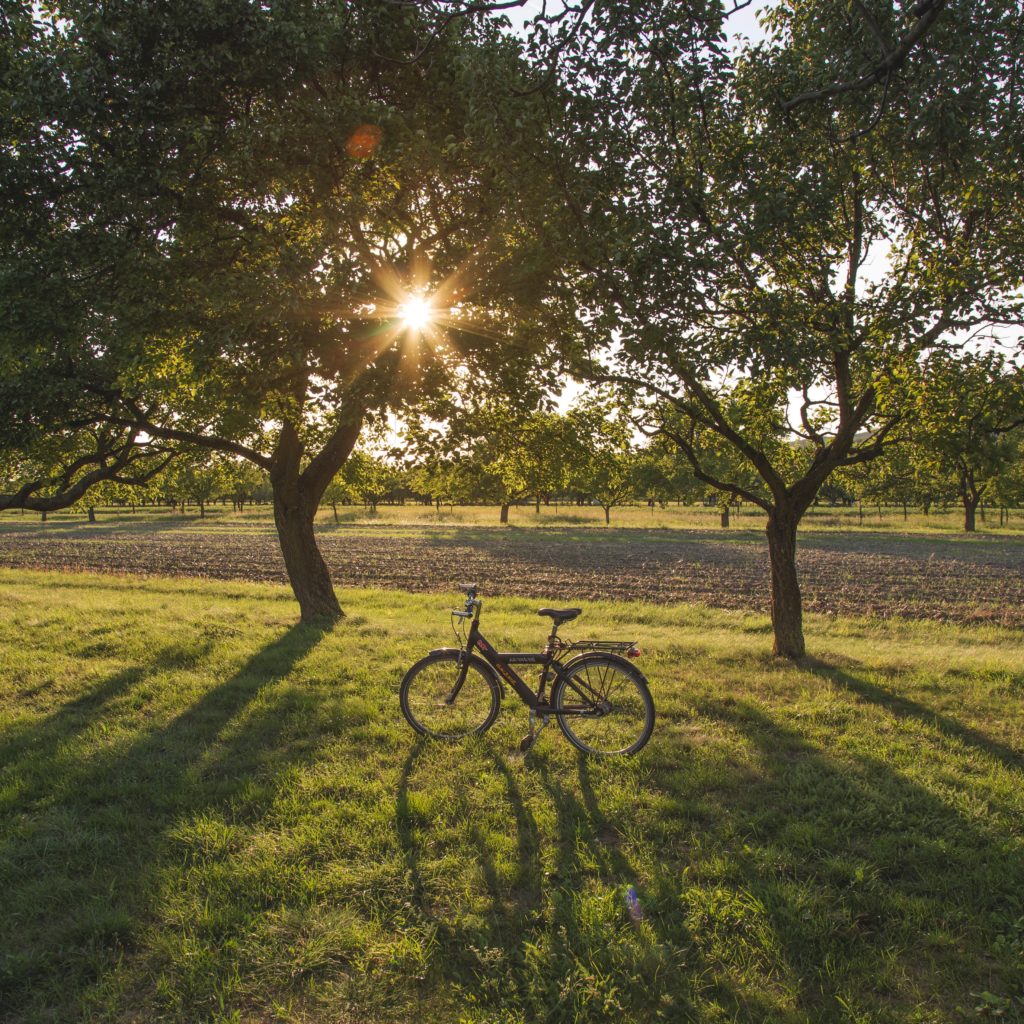 Bike in nature travel tips in corona-times