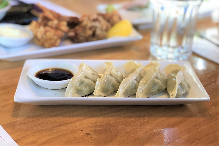 How to make Japanese gyoza - the result