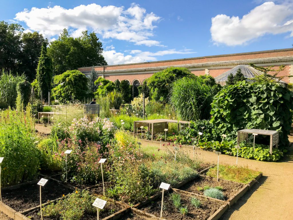 View of Leuven's Botanical Garden - one of the best free things to do in Leuven Belgium