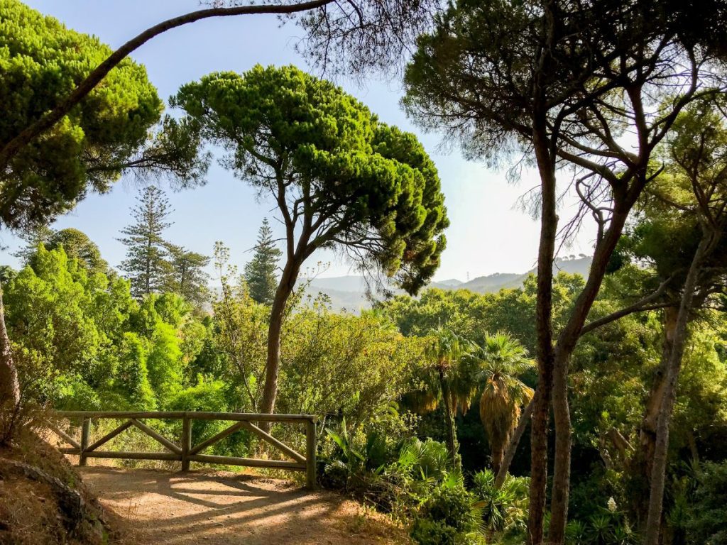 Botanical garden of Malaga