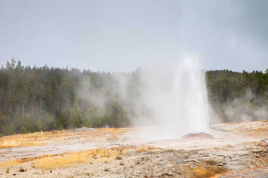 Yellowstone National Park