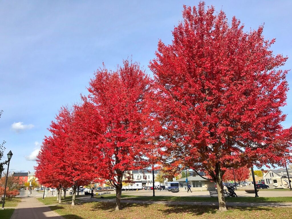 Cobourg, Ontario in Fall