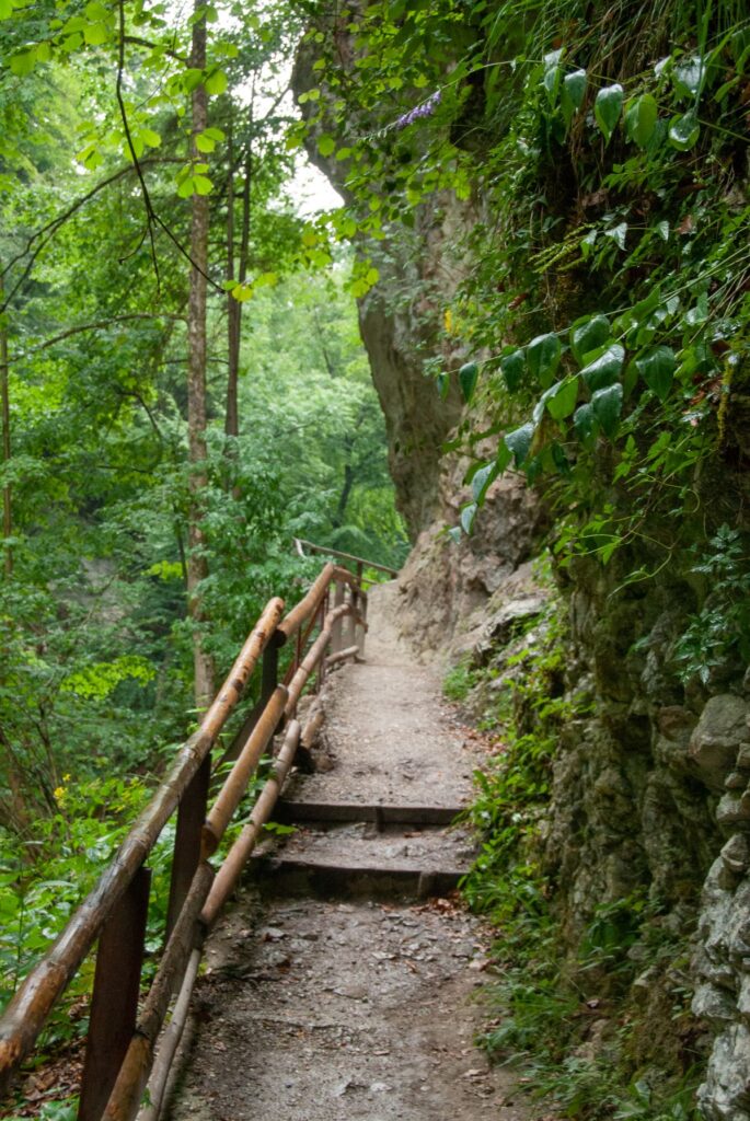 Vintgar Gorge hiking trail