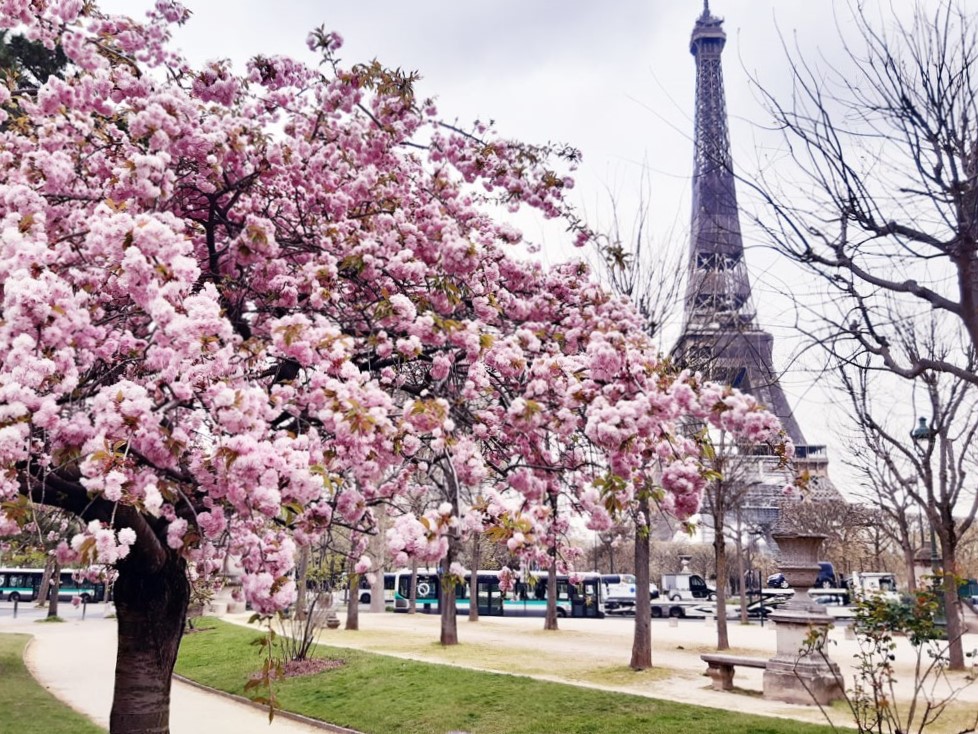 Paris in spring