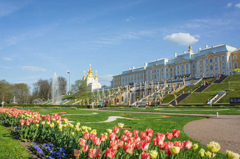 A May day in the park of Peterhof, St Petersburg, Russia