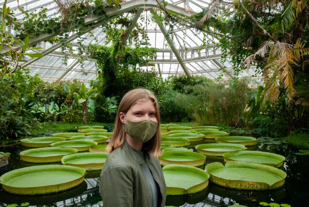 inside the botanic garden Meise