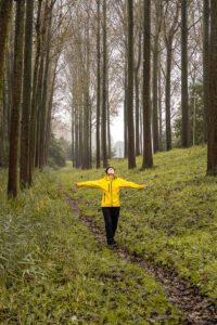 what to do in Waasland