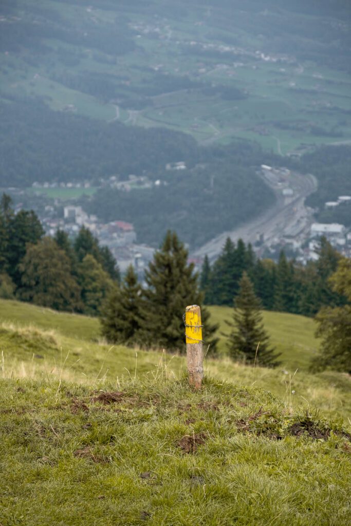 yellow pole indicating the trail on Mount Rigi