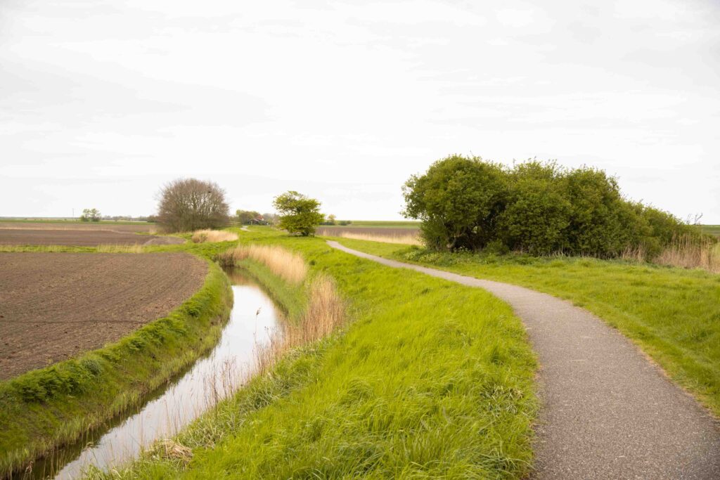 Het Ziltepad wandelen Friesland